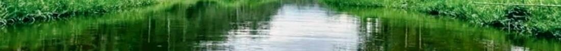Ministère chargé de l’Economie Forestière, des Ressources Fauniques et Aquatiques